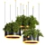 Premium Hanging Plants 3D Model 3D model small image 1