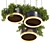 Premium Hanging Plants 3D Model 3D model small image 6