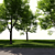 Urban Landscape Toolkit: Asphalt & Trees 3D model small image 6