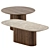 Stylish Santiago Coffee Tables 3D model small image 1