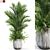 Botanical Bundle 1025 Collection 3D model small image 1