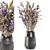 Exquisite Dry Plants Collection 3D model small image 1