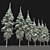 Snow-Capped Corsican Pine 3D model small image 3