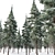 Snow-Capped Corsican Pine 3D model small image 4