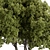 Evergreen Junipers Tree Set 293 3D model small image 2