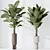 Exotic Licuala Grandis Palm Set 3D model small image 2