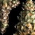 Palm Leaf Christmas Tree Decor 3D model small image 3