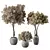 Botanical Sanctuary Set 3D model small image 1