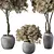 Botanical Sanctuary Set 3D model small image 2
