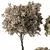 Botanical Sanctuary Set 3D model small image 3