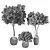 Botanical Sanctuary Set 3D model small image 4
