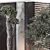 Topiary Pine Tree Set 3D Model 3D model small image 5