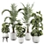 Botanical Beauty 2015 Indoor Plant 3D model small image 1