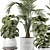 Botanical Beauty 2015 Indoor Plant 3D model small image 2
