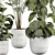 Botanical Beauty 2015 Indoor Plant 3D model small image 3