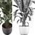 Modern Indoor Plant 3D Model 3D model small image 3