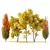  Maple Sapindaceae & Acer Saccharinum Models 3D model small image 1