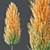  Maple Sapindaceae & Acer Saccharinum Models 3D model small image 5