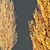  Maple Sapindaceae & Acer Saccharinum Models 3D model small image 6