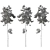 Forest Pine Tree 15m Model 3D model small image 3