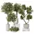 Majestic Olive Faux Tree Mediterranean 3D model small image 1