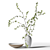 Spring Branches in Vase 3D model small image 1