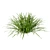 Seasonal Dwarf Mondo Grass Pack 3D model small image 2