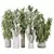 Premium Indoor Vase Tree Set 3D model small image 1