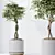 Elegant Tree Vases Collection 3D model small image 4
