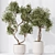 Elegant Tree Vases Collection 3D model small image 6