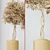 Elegant Tree Vases Collection 3D model small image 7
