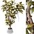 3D Plant Collection Bundle OBJ FBX 3D model small image 1