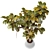 3D Plant Collection Bundle OBJ FBX 3D model small image 3