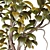 3D Plant Collection Bundle OBJ FBX 3D model small image 5
