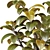 3D Plant Collection Bundle OBJ FBX 3D model small image 6