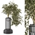 3D Indoor Plants Collection Set 3D model small image 1