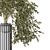 3D Indoor Plants Collection Set 3D model small image 2