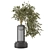 3D Indoor Plants Collection Set 3D model small image 3