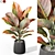  Plants Collection 1037: 3D Model 3D model small image 1