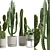 Exotic Indoor Plants Collection 63 3D model small image 9