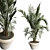 Modern Indoor Plant 3D Model 3D model small image 1