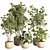 Modern Indoor Plant Set 69 3D model small image 1