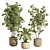 Modern Indoor Plant Set 69 3D model small image 2