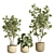 Modern Indoor Plant Set 69 3D model small image 3