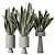 Elegant Sansevieria Trifasciata Houseplant 3D model small image 1