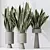 Elegant Sansevieria Trifasciata Houseplant 3D model small image 4