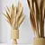 Elegant Sansevieria Trifasciata Houseplant 3D model small image 5
