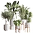 Lush Indoor Plant Set 3D model small image 1