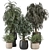  Verdant Oasis Set 1194 3D model small image 1