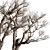 Rustic Dry Olive Tree Set 3D model small image 2